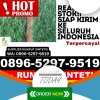 Distributor Rumput Palsu Lalan.jpg