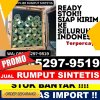 Jual Rumput Plastik Bangkinang.jpg