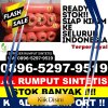 Jual Rumput Sintetis Subang.jpg