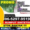 Jual Rumput Imitasi Hero Lange Lange.jpg