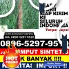 Penjual Rumput Sintetis Kuta Utara.jpg