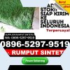 Distributor Rumput Sintetis Jangkar.jpg