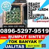 Jual Rumput Plastik Barambai.jpg