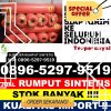 Jual Rumput Sintetis Sumay.jpg