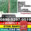 Gudang Rumput Plastik Lamasi.jpg