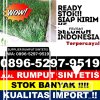 Jual Rumput Imitasi Jampang Kulon.jpg