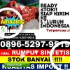 Penjual Rumput Palsu Patampanua.jpg