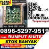 Agen Rumput Imitasi Bintang Ara.jpg