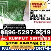 Distributor Rumput Sintetis Jawai.jpg