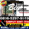 Jual Rumput Plastik Batang Asam.jpg