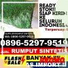 Jual Rumput Imitasi Jatisrono.jpg