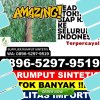 Penjual Rumput Sintetis Larompong.jpg