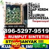 Agen Rumput Imitasi Bojonegoro.jpg