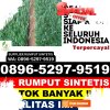 Distributor Rumput Palsu Lolomatua.jpg