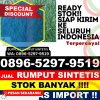 Penjual Rumput Sintetis Lembah Malintang.jpg