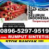 Agen Rumput Sintetis Purwodadi.jpg