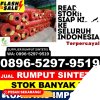 Gudang Rumput Imitasi Ploso.jpg