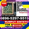 Jual Rumput Plastik Bayat.jpg