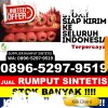 Jual Rumput Sintetis Tabir Ilir.jpg