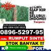 Penjual Rumput Sintetis Lili Rilau.jpg