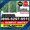 Distributor Rumput Palsu Magelang Tengah.jpg