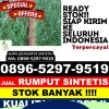 Gudang Rumput Plastik Long Apari.jpg