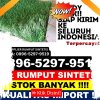 Jual Rumput Imitasi Kabupaten Barru.jpg