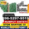 Penjual Rumput Sintetis Loksado.jpg