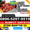 Penjual Rumput Palsu Pinang.jpg