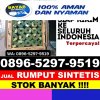 Agen Rumput Imitasi Bulu.jpg