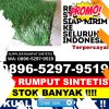 Distributor Rumput Sintetis Kabupaten Halmahera Barat.jpg