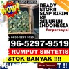 Jual Rumput Plastik Beutong Ateuh Banggalang.jpg