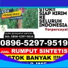 Distributor Rumput Palsu Mangoli Utara.jpg