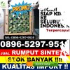 Jual Rumput Plastik Blanakan.jpg