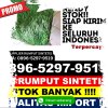 Jual Rumput Imitasi Kabupaten Kepulauan Anambas.jpg