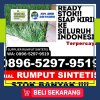 Pusat Rumput Palsu Kabupaten Kotawaringin Barat.jpg