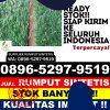 Distributor Rumput Palsu Marau.jpg