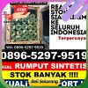 Grosir Rumput Palsu Botolinggo.jpg