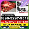 Penjual Rumput Palsu Pulau Burung.jpg