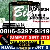 Distributor Rumput Palsu Masaran.jpg