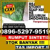 Distributor Rumput Sintetis Kabupaten Padang Lawas.jpg