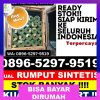 Grosir Rumput Palsu Buer.jpg