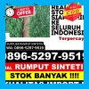 Penjual Rumput Sintetis Mangkutana.jpg