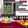 Agen Rumput Imitasi Cijaku.jpg