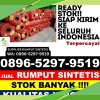 Penjual Rumput Palsu Purwokerto Timur.jpg