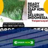 Distributor Rumput Sintetis Kabupaten Tanah Bumbu.jpg