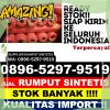 Jual Rumput Sintetis Temayang.jpg