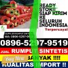 Penjual Rumput Palsu Ranah Ampek Hulu Tapan.jpg