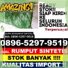 Distributor Rumput Sintetis Kahayan Kuala.jpg