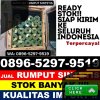 Jual Rumput Plastik Cakranegara.jpg